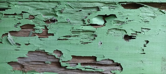 Peeling Green Paint on Rotten Wood Surface Close-Up. Close-up of a weathered wooden surface with peeling green paint and termite damage. Perfect for rustic or grunge-themed backgrounds