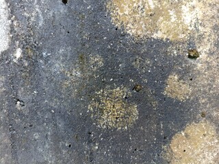 Mossy Grungy Concrete Wall Surface. Close-up of a weathered concrete wall with dark stains, mold patches, and rough texture. Ideal for background or grunge texture use
