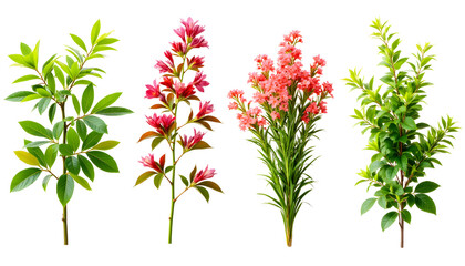 Colorful artificial flowers arranged on white background  