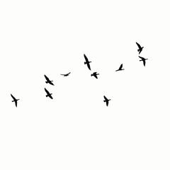 "Flock of Birds in Flight Silhouette"