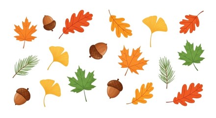 Obraz premium Autumn Leaves Acorns Ginkgo Pine Needles Fall Colors Harvest Seasonal Nature