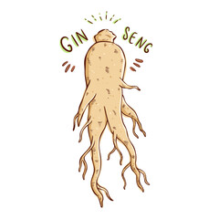 cute doodle ginseng illustration on white background