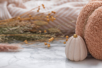 Minimalist fall composition with textured pumpkin, delicate dried botanicals, and marble...