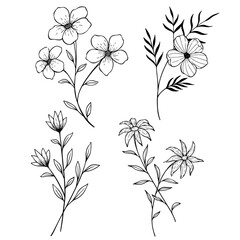 Set of Hand Drawing Flower Illustration. Best for vintage decoration