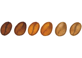 コーヒー豆　珈琲　水彩　イラスト