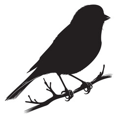 Black Silhouette of a Small canary Perched on Branch Vector Illustration