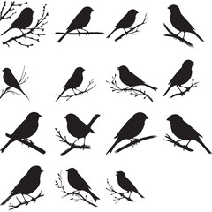 Collection of Black Silhouette of a Small canary Perched on Branch Vector Illustration