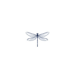Stylized dragonfly illustration in blue, isolated on black, presenting a delicate invertebrate design with intricate wings.