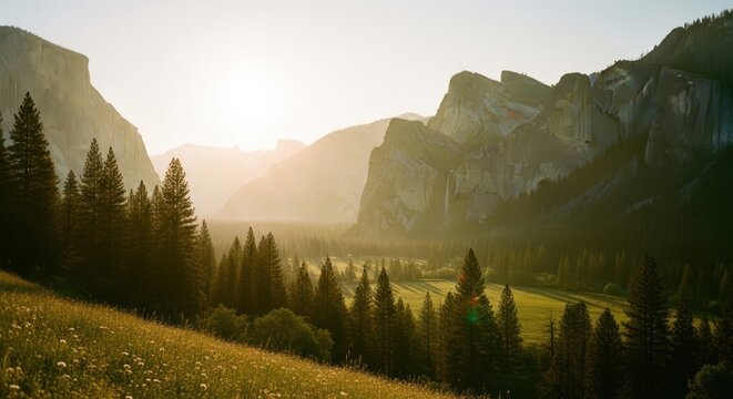 Majestic Yosemite Valley vista featuring towering granite cliffs, lush green meadows, and a dense forest of pine trees bathed in the warm glow of the setting sun, a serene landscape. - Powered by Adobe