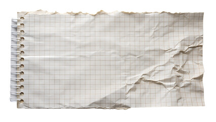 A torn sheet of lined notebook paper with a spiral binding, isolated on white isolated on transparent background