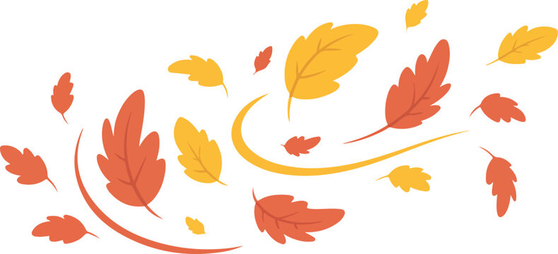 Autumn leaves swirling in the wind, vibrant colors of red and gold transparent isolated vector png