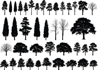 Collection of diverse tree silhouettes isolated on a white background