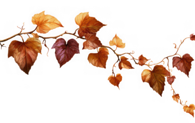 Artistic illustration of autumnal ivy tendrils with vibrant, reddish-brown leaves