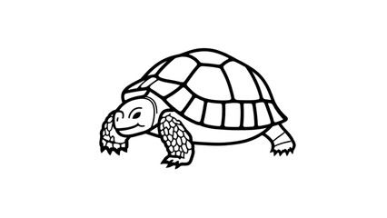 turtle vector illustration