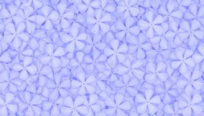 Fototapeta premium Confident Gulf Businesswoman Wearing Abaya – Professional Islamic Portrait.