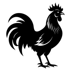 Striking black silhouette of a proud rooster crowing captured in a side view isolated on white background