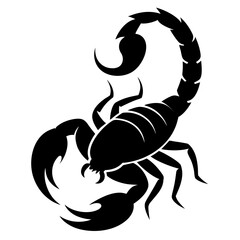 Black silhouette of a scorpion with a curled tail isolated on white background