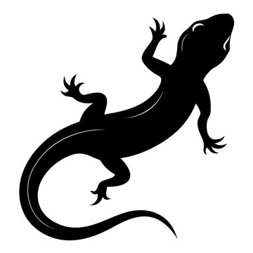 Top down silhouette of a crawling lizard isolated on white background