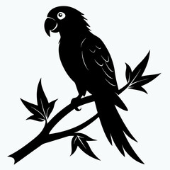 Elegant silhouette of a parrot perched on a branch isolated on white background