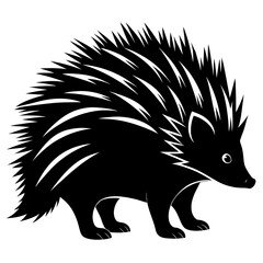Detailed silhouette of a porcupine with clearly visible spines isolated on white background