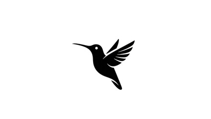 hummingbird in flight