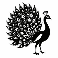 Elegant silhouette of a peacock with its tail feathers spread wide isolated on white background