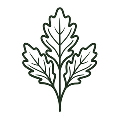 Fresh arugula leaf outline icon on white background