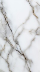 White Marble Texture with Grey and Brown Veining