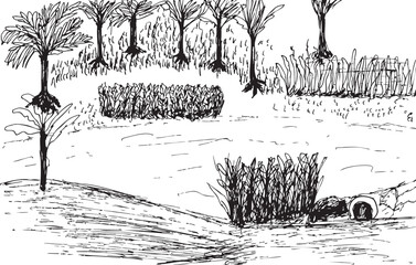 Freehand sketch of swampy terrain and wild grass patches
