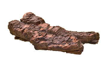 tree bark isolated on white background