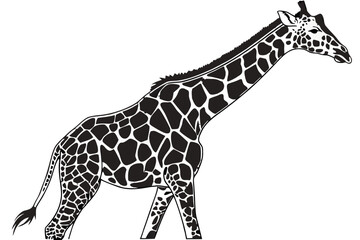 Naklejka premium A black silhouette of a giraffe walking