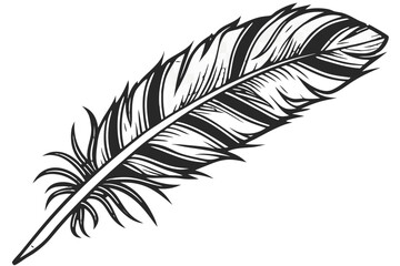Obraz premium A single black feather isolated on a white background