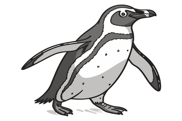 Fototapeta premium A cartoon penguin isolated on a white background