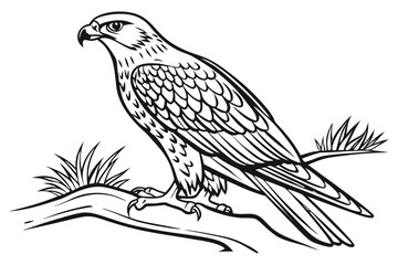 Obraz premium A falcon perches on a branch with grass in this drawing