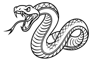 Fototapeta premium Aggressive snake hissing isolated on white background