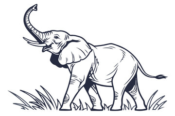 An elephant with its trunk raised on a white background