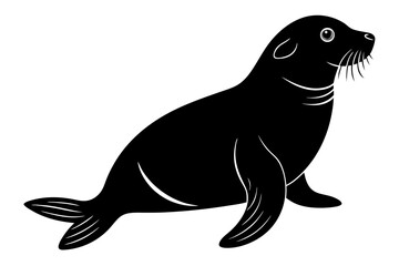 seal on white background