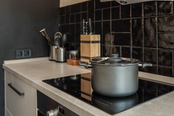 Modern kitchen interior with a matte black cooking pot on a sleek induction cooktop, surrounded by...