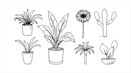 Plant in a pot for indoors. A collection of black and white sketches. Outlined rubber plant, gerbera, tree, and cactus. Set of vector doodle line illustrations.


