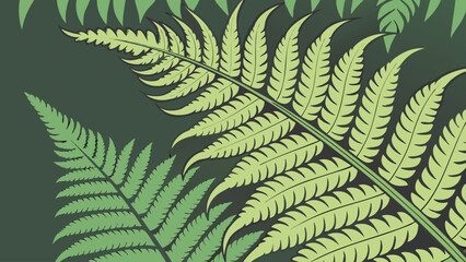 Illustration of several fern fronds with detailed pinnate venation on a dark green background design