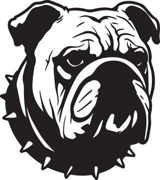Classic bulldog face in black and white stencil style strong jawline thick lines Adobe Illustrator Artwork