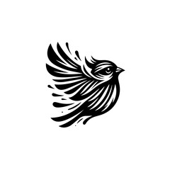 Obraz premium bird of prey