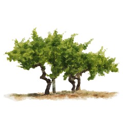 Lush Green Grape Vines, Artistic Illustration. A picturesque depiction of three grapevines with vibrant foliage, ideal for wine-related designs.