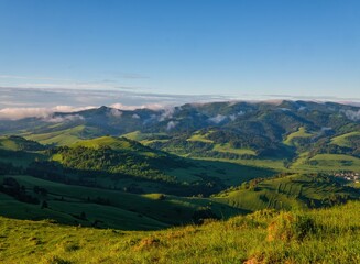 Green mountain meadows with cattle. Mountain pass in Pieniny in Poland. Beautiful, dynamic and hazy...