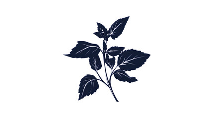 Herb leaves icon, like basil or parsley, silhouette style,