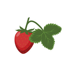 Strawberry. Ripe strawberry berry. Red strawberry berry with green leaf. Strawberries in cartoon style. The vector illustration is isolated on a white background.