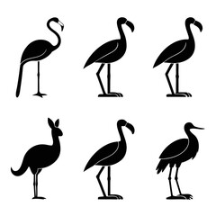 Obraz premium Six elegant birds standing gracefully flamingo