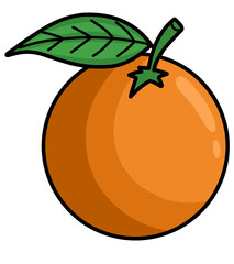 orange fruit vector illustration