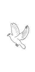 dove of peace