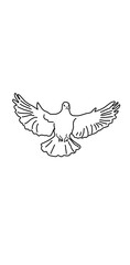 dove with wings